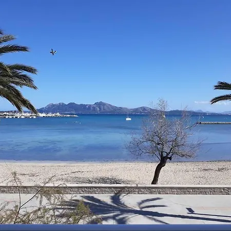 Apartamento Biel - *